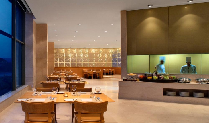 Radisson Blu Hotels in Delhi Photos