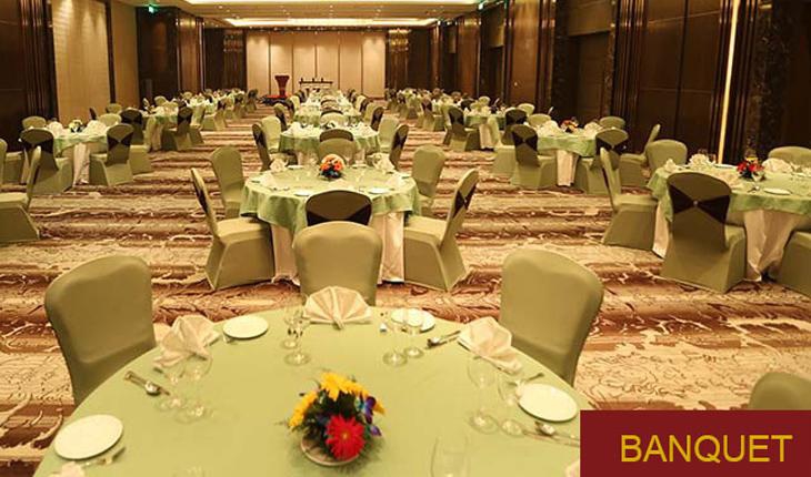 Pride Plaza Hotel Banquet Hall in Delhi Photos