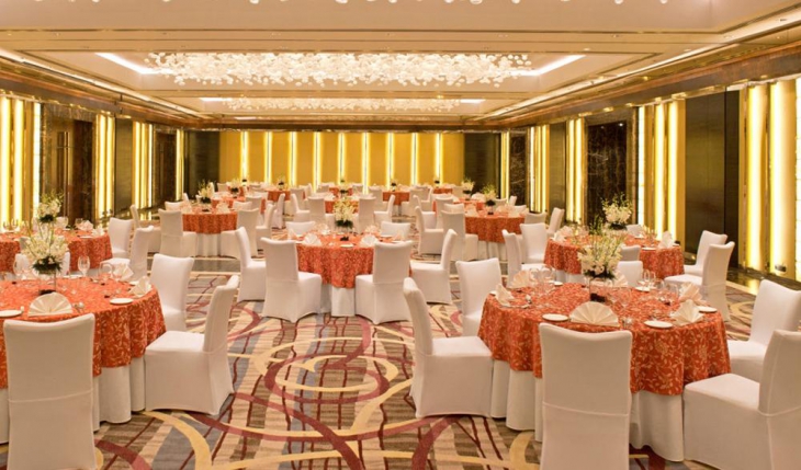 Radisson Blu Plaza Hotels in Delhi Photos