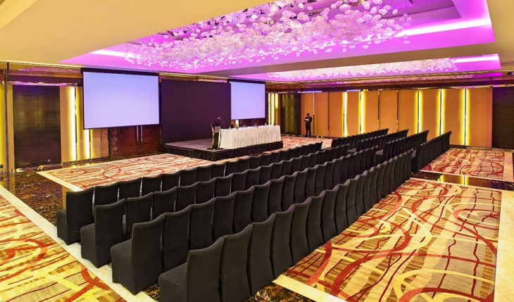Radisson Blu Plaza Hotels in Delhi Photos