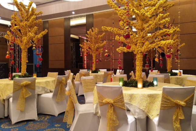 The Anya Hotel Banquet Hall in Gurgaon Photos
