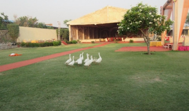 Khalsa Gardens Party Lawn Photos in Faridabad