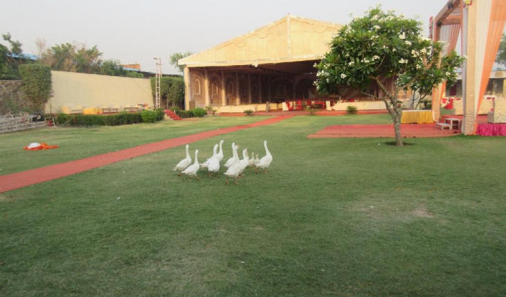 Khalsa Gardens Party Lawn in Faridabad Photos